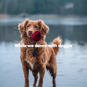 While we dance with doggie - Doggy Music Playlists