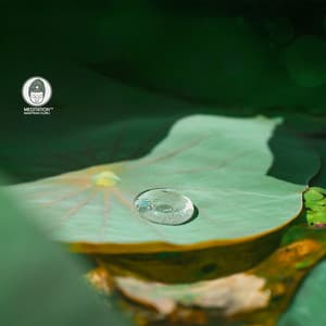 Your Name Written in Water - Meditation Mantras Guru