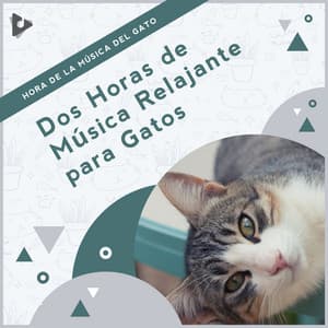 2 Horas de Música Relajante para Gatos - Hora de la Música del Gato