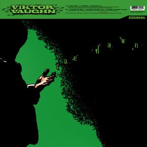 Rae Dawn / Change the Beat - Viktor Vaughn
