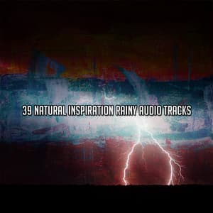 39 Natural Inspiration Rainy Audio Tracks - Thunder Storm
