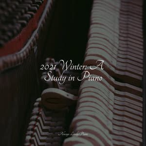 2021 Winter: A Study in Piano - Chillout Lounge Piano