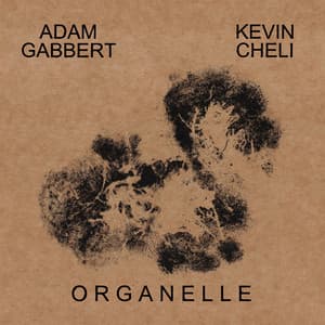Organelle - Kevin Cheli
