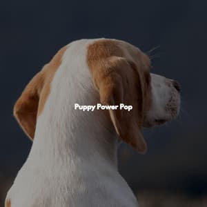 Puppy Power Pop - Jazz Rilassante Retro