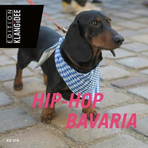 Hip Hop Bavaria - Markus Strasser