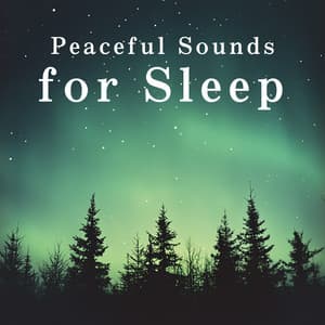 Peaceful Sounds for Sleep - Relaxing BGM Project