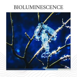 Bioluminescence - Waters Of Deluge