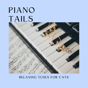 Piano Tails: Relaxing Tunes for Cats - Music for Relaxing Cats