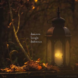 Amazon Jungle Ambience - Amazon Jungle Sounds