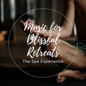 Music for Blissful Retreats: The Spa Experience - Stress Relief Helper