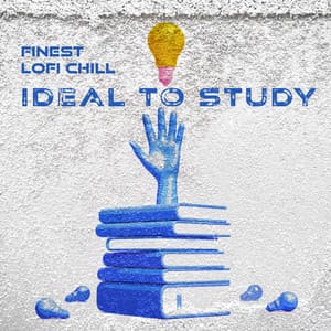 Finest Lofi Chill Ideal to Study - Dj Neonic