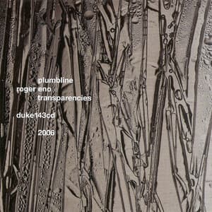 Transparencies - Plumbline