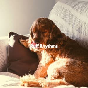 Ruff Rhythms - Relaxing Dogs