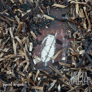 Jar'a - Paolo Angeli