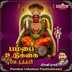 Pambai Udukkai Paattukkaari - Veeramanidasan