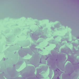 Ambiance for Energetic Ballad - Hotel Jazz Music