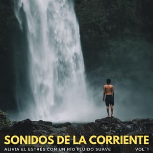 Sonidos De La Corriente: Alivia El Estrés Con Un Río Fluido Suave Vol. 1 - Naturaleza FX