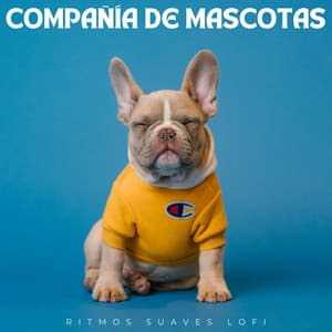 Compañía De Mascotas: Ritmos Suaves Lofi - Nación Lofi Hip Hop