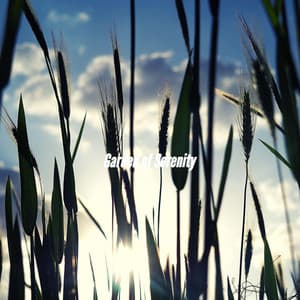 Garden of Serenity - Thiago Sanchez Jazz Quartet