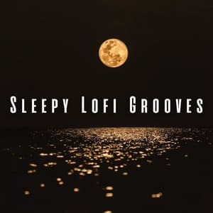 Sleepy Lofi Grooves: A Journey to Dreamland - Lo-fi Beats for Sleep
