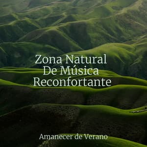 Zona Natural De Música Reconfortante - Relaxing Spa Music