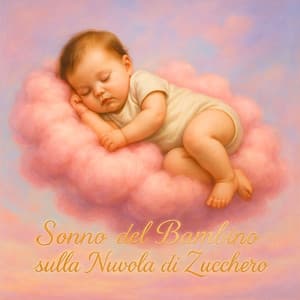 Sonno del Bambino sulla Nuvola di Zucchero - Giulio Cercare