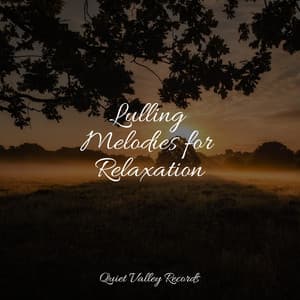 Lulling Melodies for Relaxation - Relaxing Sleep Sound