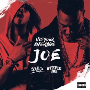 Not Your Average Joe - Stevie Joe