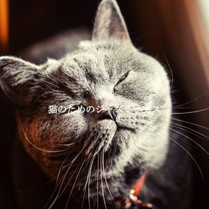 猫のためのジャズミックス - Jazz Ambiance