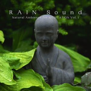 RAIN Sound: Natural Ambience for MEDITATION Vol. 1 - Rain Sounds & Nature Sounds