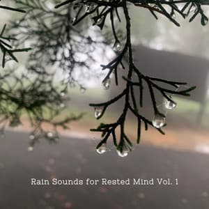 Rain Sounds for Rested Mind Vol. 1 - Nature Hiker