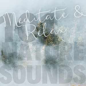 Sound of the Forest - Meditate & Relax - 101 Nature Sounds