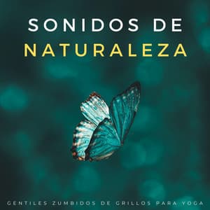 Sonidos De Naturaleza: Gentiles Zumbidos De Grillos Para Yoga - Suave por naturaleza