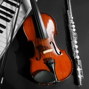 Concentrated Learning Tunes: Music For Exam Focus - Calm Stress Relief