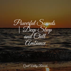 Powerful Sounds | Deep Sleep and Chill Ambience - Rainy Sounds