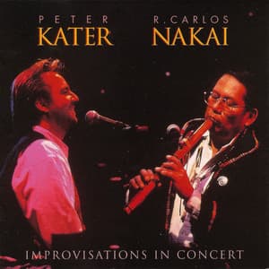 Improvisations In Concert - Peter Kater