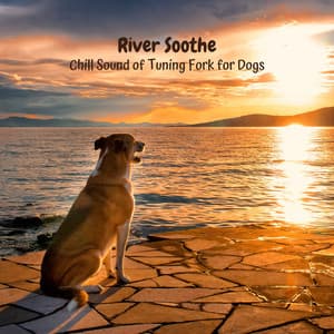 River Soothe: Chill Sound of Tuning Fork for Dogs - Rivers and Streams