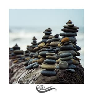 Regular White Noise - White Noise Collectors