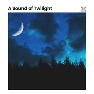 A Sound of Twilight - The Nature Soundscapes