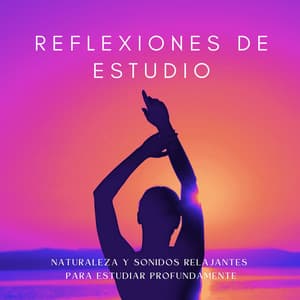 Reflexiones De Estudio: Naturaleza Y Sonidos Relajantes Para Estudiar Profundamente - Agradable Musica para Leer