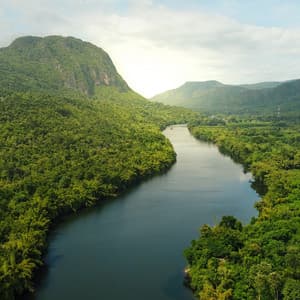 Rhythmic River Rhythms: Peaceful Waterscapes - Plant Frequencies Universe