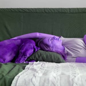 Echoes of Sleeping Hound Time - Calming Dog Jazz Classics