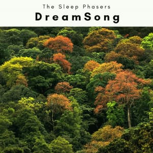 2022 DreamSong - The Sleep Phasers