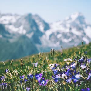 Yoga & Meditation - Música De Relajación Para Dormir Profundamente