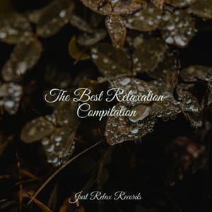 The Best Relaxation Compilation - Deep Sleep Meditation