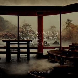 50 Deeply Soothing Sounds for Reiki & Relaxation - Música Para Meditar y Relajarse