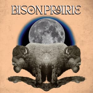 Bison Prairie - Dan Matic