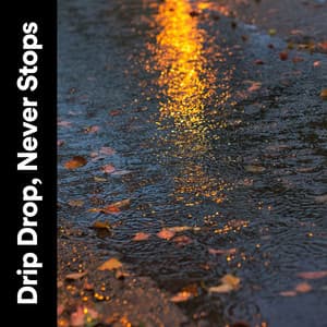 Drip Drop, Never Stops - Clear Mind Raining