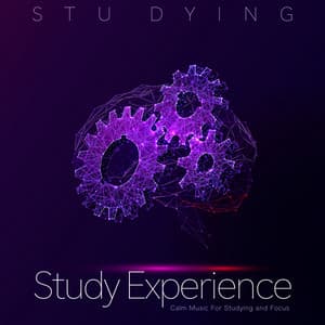 Study Experience: Calm Music For Studying and Focus - Stu Dying
