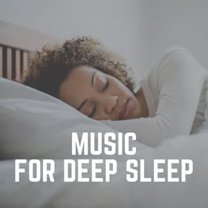 Music for Deep Sleep - The Sleep Principle